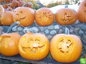 Huntington Woods Halloween Pumpkin Carving & Storytime @ Burton Field
