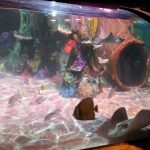 SeaLife aquarium