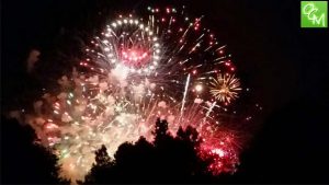 Wixom Fireworks @ Sibley Park