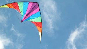 Lyon Township Kite Festival