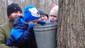 West Bloomfield Intro To Maple Tree Tapping @ Recreation Activities Center