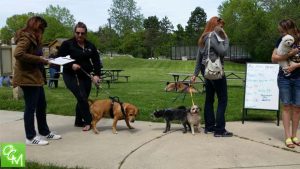 Oakland County Parks Pet Wellness Clinic @ Orion Oaks Dog Park
