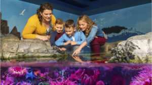 SEA LIFE Aquarium Teacher Appreciation Days @ Sea Life Michigan